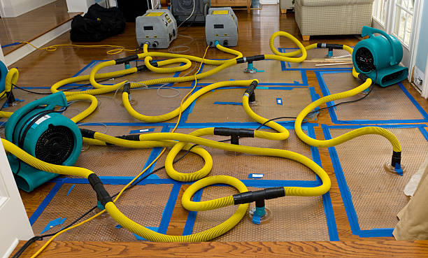 Professional Crawl Space Water Removal technician working in Hampton, IL